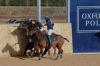 Oxford Polo 2023_01_08 0054